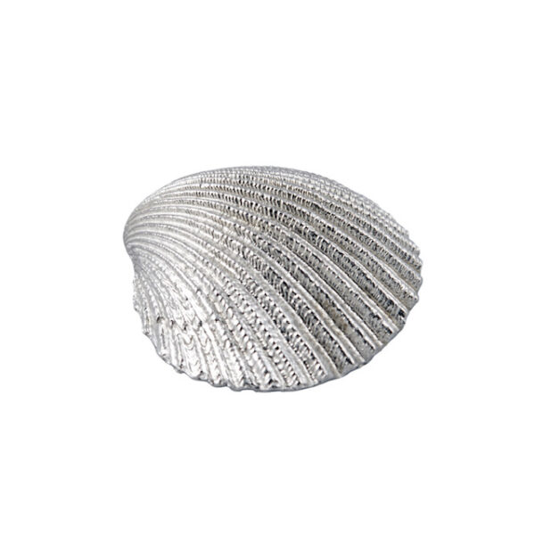 Seashells